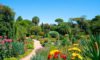 Botanical Gardens in San Miguel de Allende: A Secret Treasure