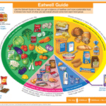 Supplements for a Balanced Diet: A Must-Have Guide