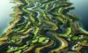 Golfing Destination: Discover Bellville Golf Club Today