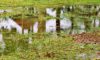Stormwater Drain Solutions: Causes Explained for Wollongong