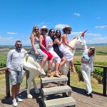 Discover Yarra Valley Wineries to Visit in 2025
