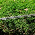 Hedge Trimming Best Practices for Gardens in Queen Camel