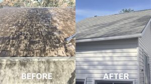 Explore the Essential Benefits of Soft Washing for Optimal Home Maintenance