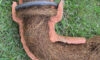 Tree Roots in Drains: Addressing the Sutherland Shire Challenge