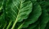 Collard Greens Recipe: A Nutritious Slow-Cooked Delight
