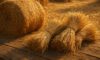 Hay and Straw: Creative Cooking Recipe Inspirations
