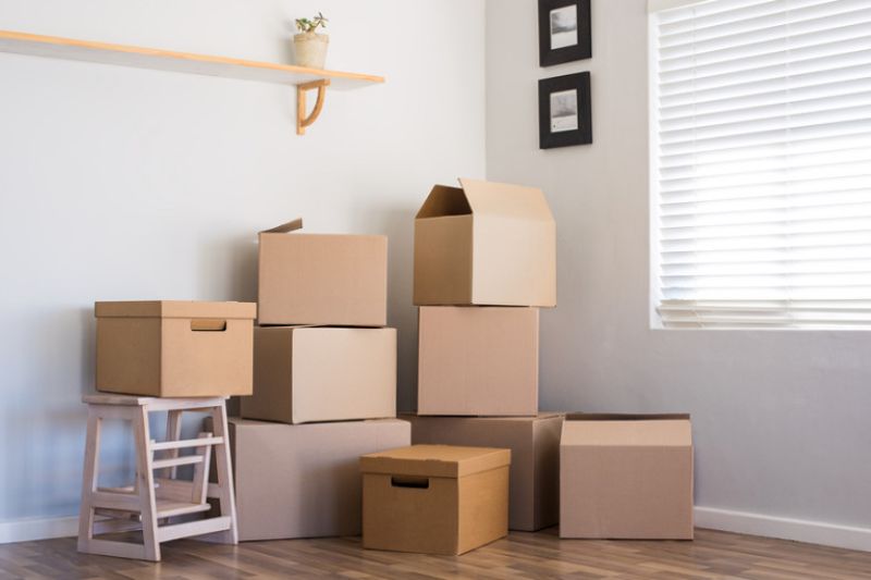 Rubbish Removal: Expert Tips and Help in Hastings